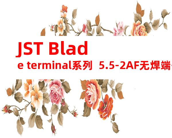 JST Blade terminal系列  5.5-2AF无焊端子产品规格书